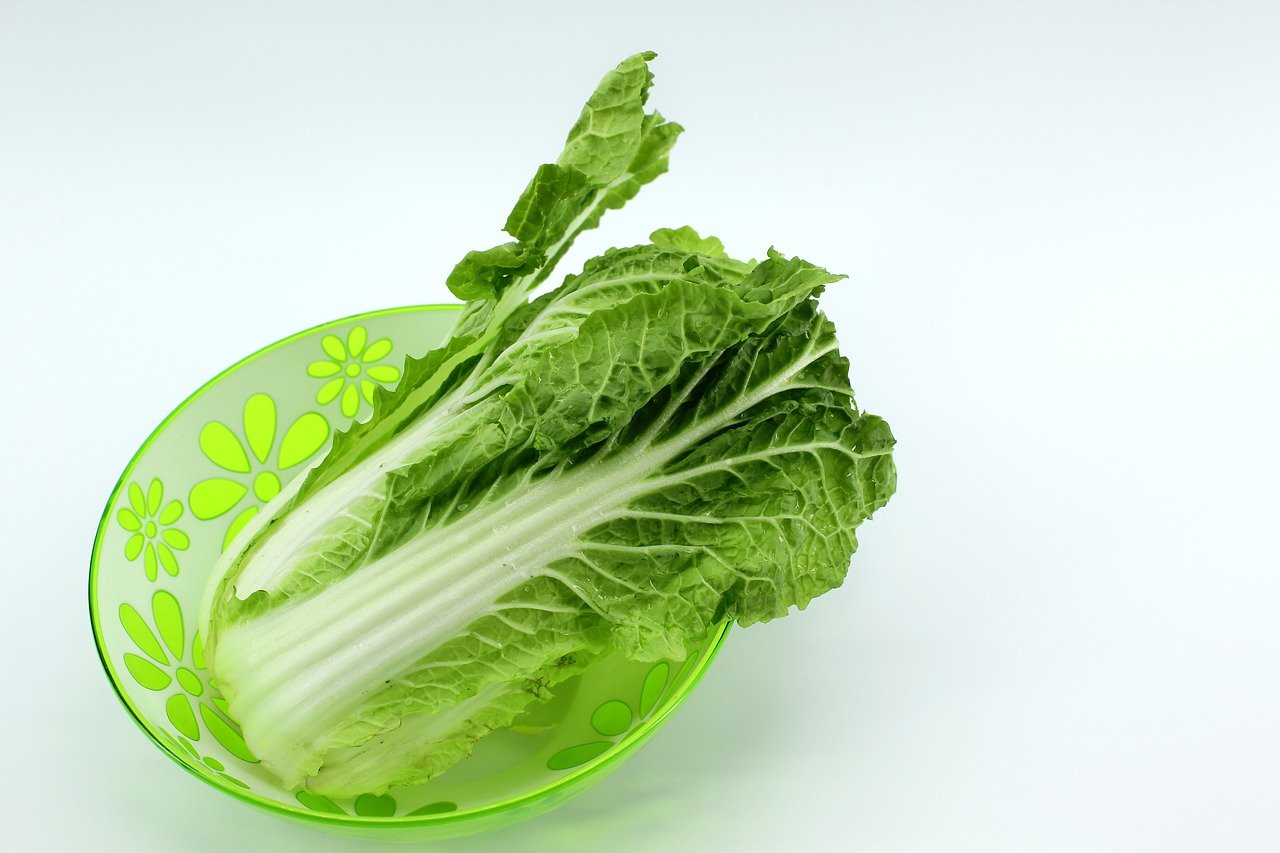 beijing-cabbage-4201754_1280