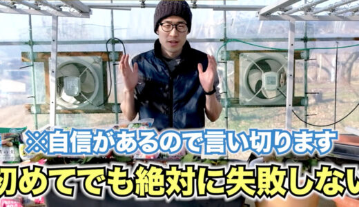 超初心者のための超簡単なイチゴの育て方