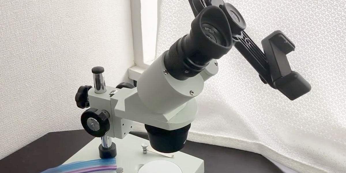 実態顕微鏡
