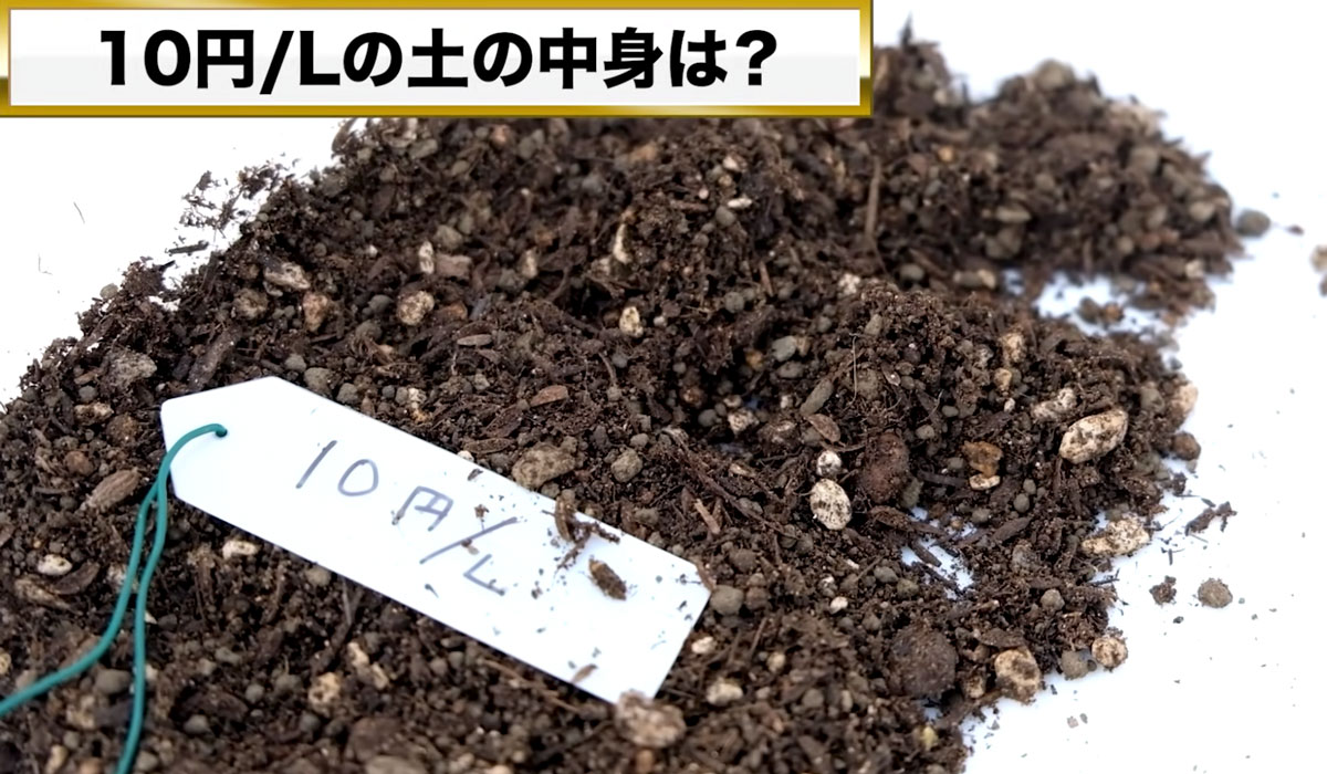 培養土の比較_10円/Lの土