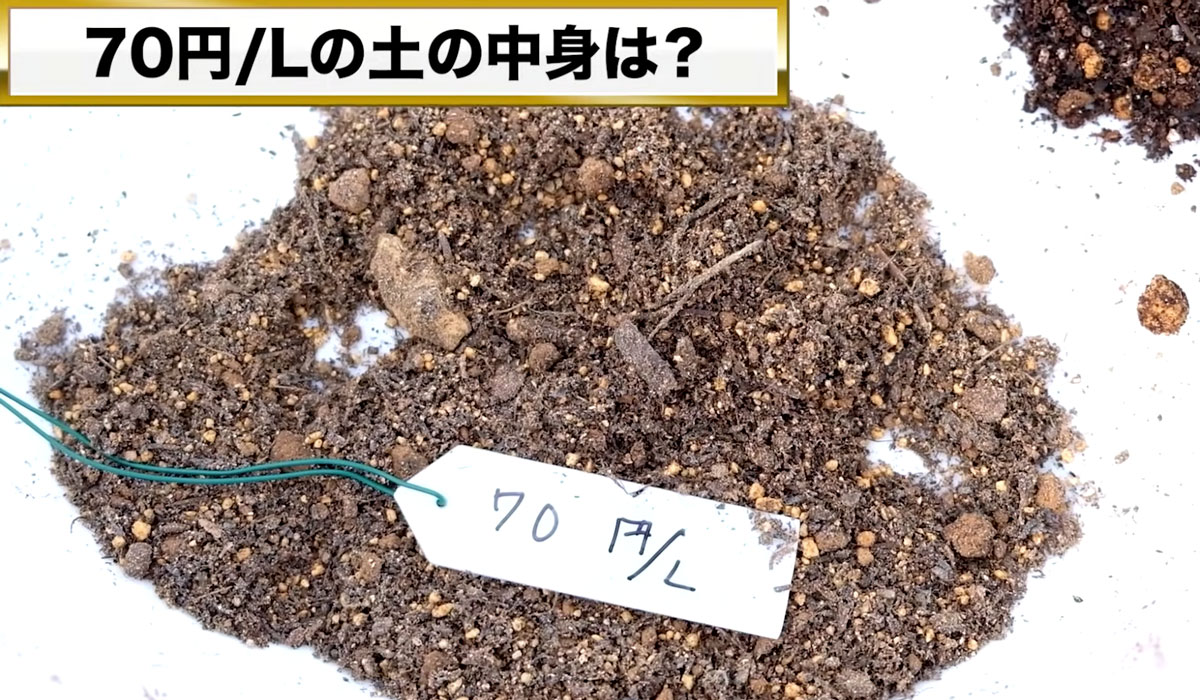 培養土の比較_70円/Lの土