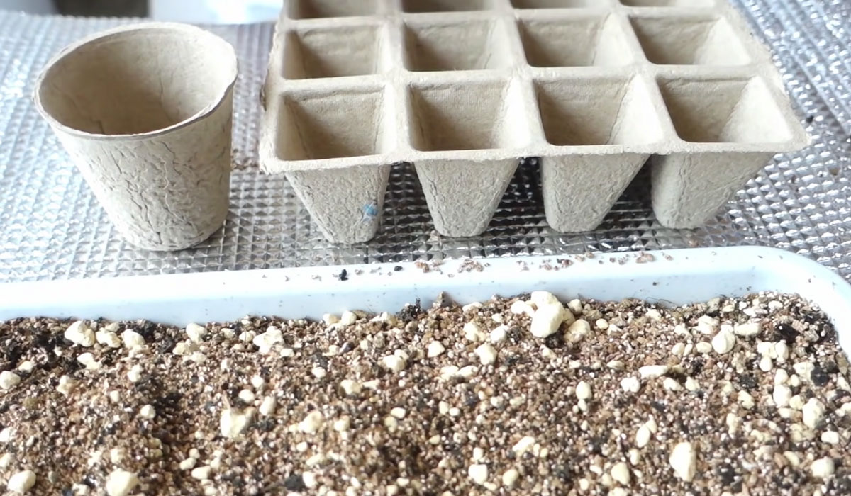 種まきと苗作り_容器に土を入れる
