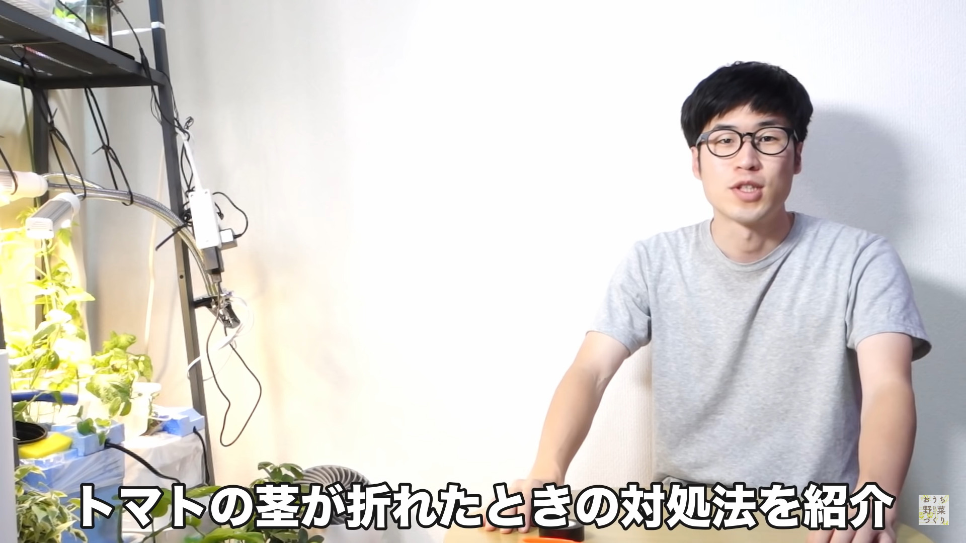 スクリーンショット (92)