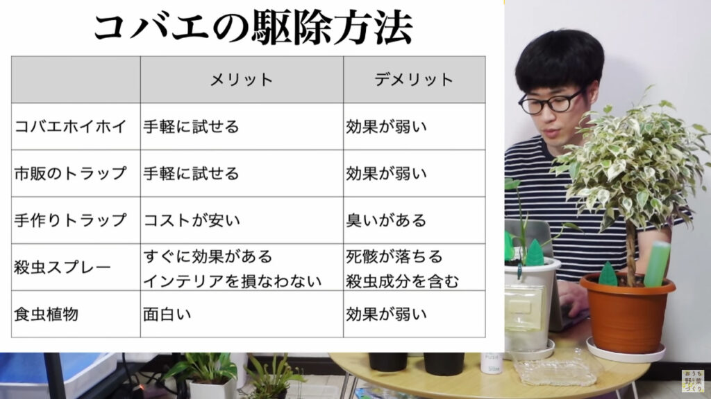 部屋や観葉植物のコバエを予防や駆除するおすすめの対策方法！食虫植物や手作りトラップ | やさいガーデン