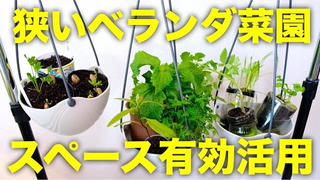 狭いベランダ菜園でもスペースを有効活用して野菜をたくさん育てる4つの方法(サムネ)